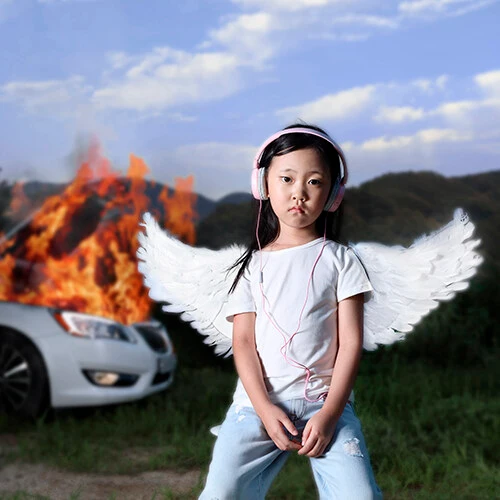 Car, the Garden - Vol.3 Harmony CD