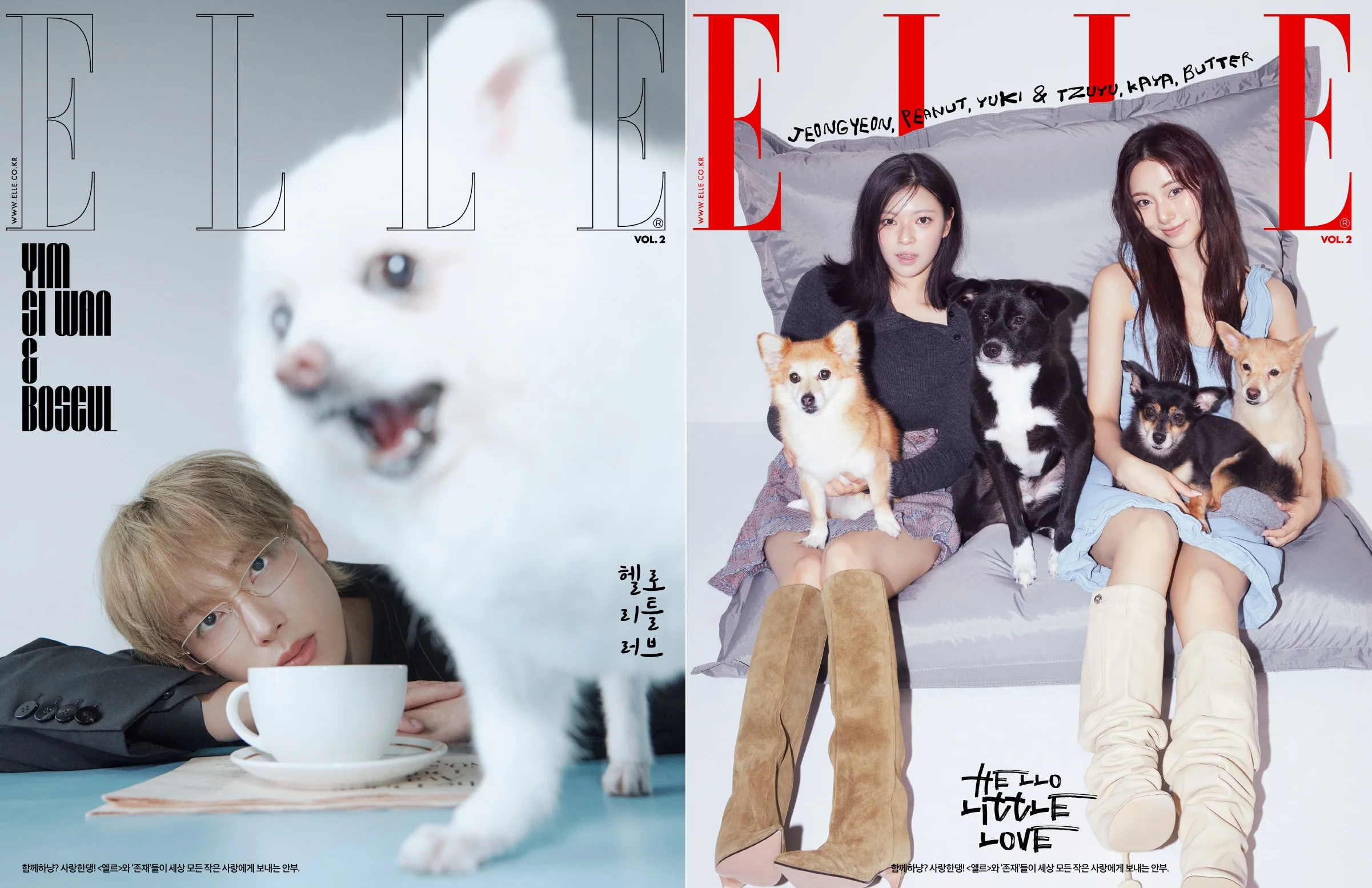 Elle Magazine Korea November Vol.2 2025 [Random ver.] - Image 3