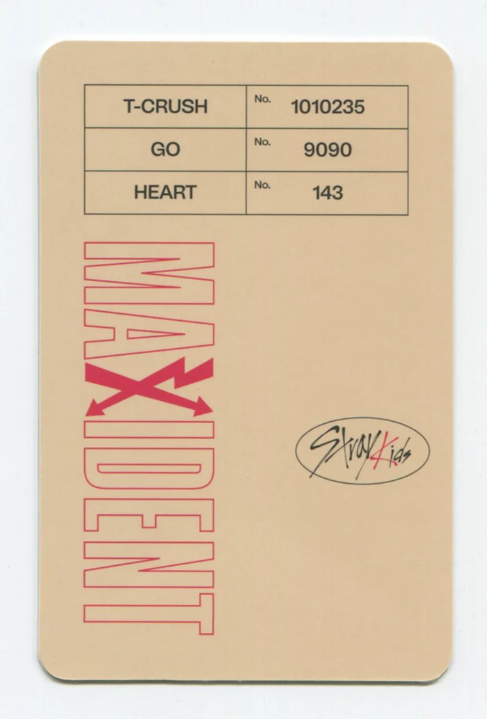 STRAY KIDS - MAXIDENT Album Case ver. OFFICIAL PHOTOCARD - Image 2