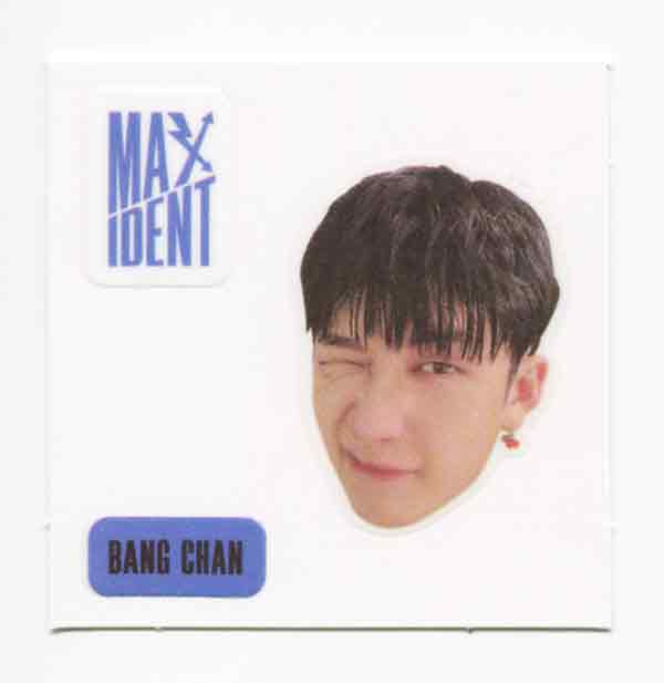 STRAY KIDS - MAXIDENT Album OFFICIAL Face Sticker, 4-Cut Photo - Image 2
