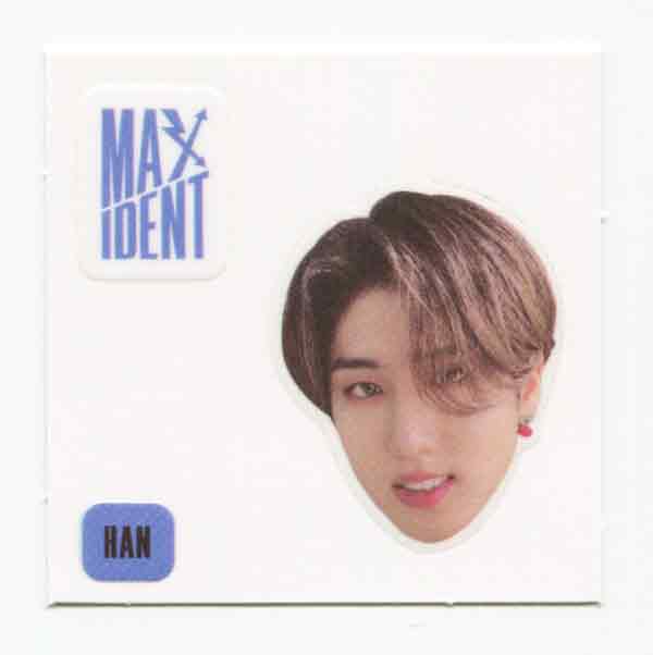 STRAY KIDS - MAXIDENT Album OFFICIAL Face Sticker, 4-Cut Photo - Image 5