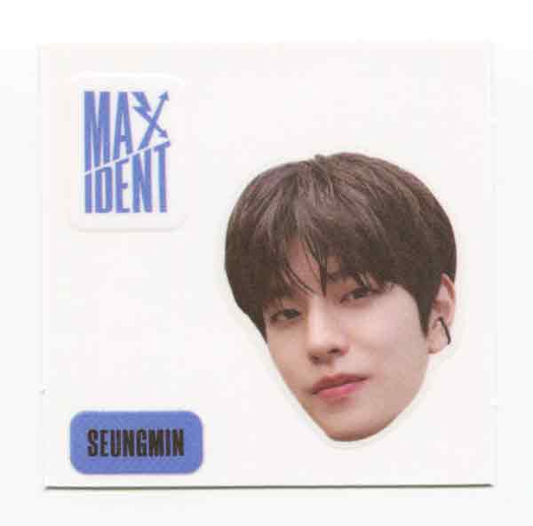 STRAY KIDS - MAXIDENT Album OFFICIAL Face Sticker, 4-Cut Photo - Image 9