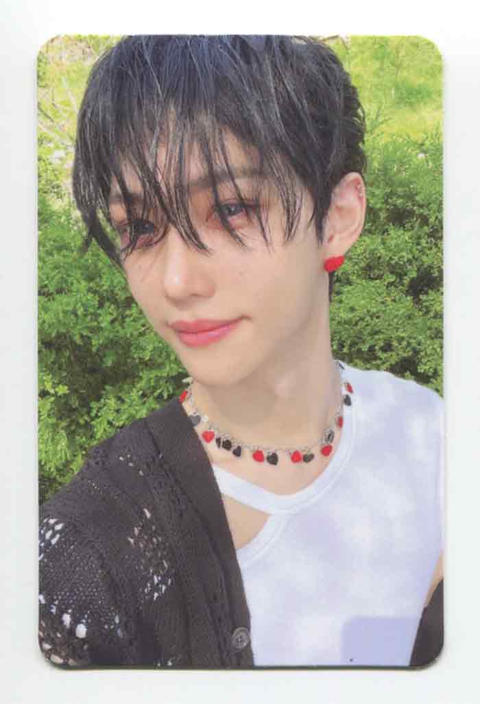STRAY KIDS - MAXIDENT Album OFFICIAL PHOTOCARD - Image 12