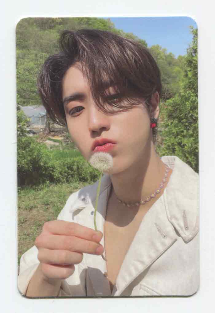 STRAY KIDS - MAXIDENT Album OFFICIAL PHOTOCARD - Image 15